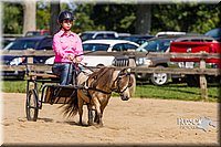 LCF13-3362.jpg