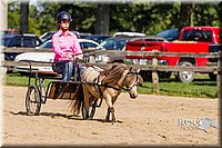 LCF13-3363.jpg