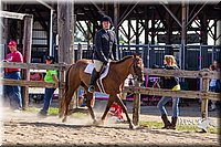LCF13-3407.jpg