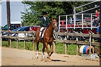 LCF13-3459.jpg
