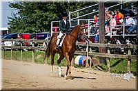 LCF13-3460.jpg