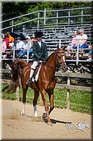 LCF13-3461.jpg