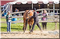 LCF13-3296.jpg