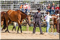 LCF13-3297.jpg