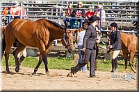 LCF13-3298.jpg