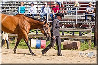 LCF13-3299.jpg