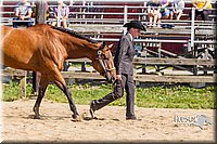 LCF13-3301.jpg