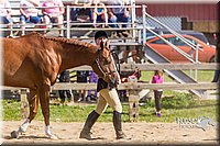 LCF13-3304.jpg