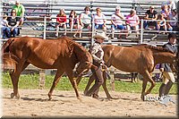 LCF13-3305.jpg