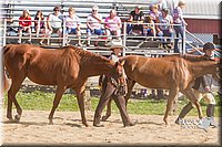LCF13-3306.jpg