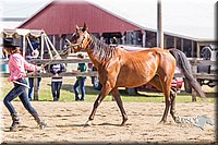 LCF13-3309.jpg