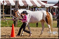 LCF13-3313.jpg