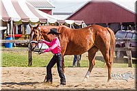 LCF13-3314.jpg