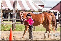 LCF13-3315.jpg