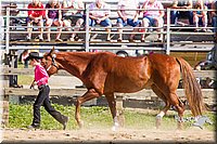 LCF13-3317.jpg