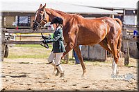 LCF13-3319.jpg