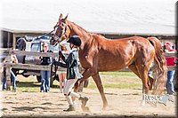 LCF13-3320.jpg