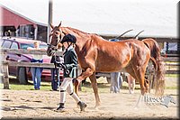 LCF13-3321.jpg