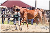 LCF13-3322.jpg