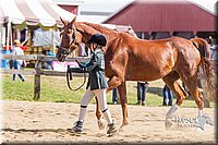LCF13-3323.jpg