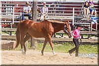 LCF13-3326.jpg
