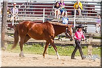 LCF13-3327.jpg