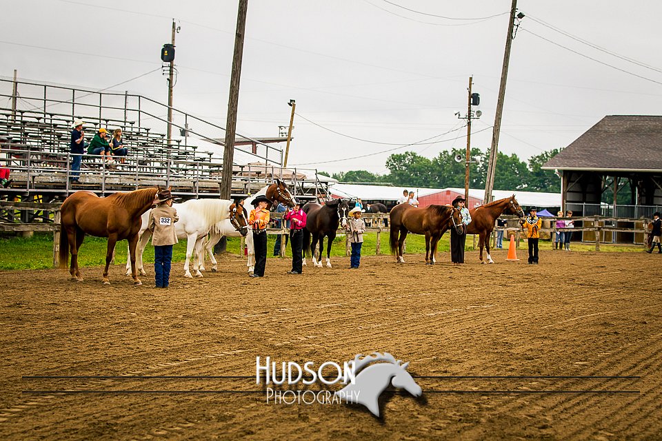 4H-1st-062114-1005.jpg