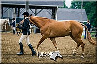4H-1st-062114-1040.jpg
