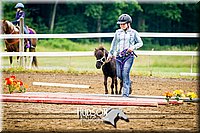 4H-1st-062114-1300.jpg