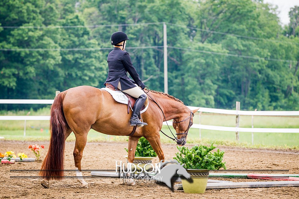 4H-1st-062114-1451.jpg