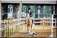 37 To 44  Working and Equitation
