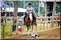 47. Western Pleasure Horses, Sr. Rider