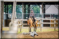 48. Western Pleasure Horses, Jr. Rider
