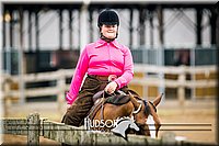 50. Western Pleasure Pony (over 13 hds. & not over 14.2 hds.)