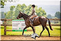 54. Classic Hunter Under Saddle Horses - Sr. Rider