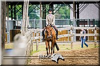 55. Breed Type Hunter Under Saddle Horses - Sr. Rider