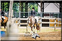 57. Breed Type Hunter Under Saddle Horses - Jr. Rider