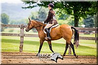 59. Hunter Under Saddle Ponies - (over 13 hds. & not over 14.2 hds.)