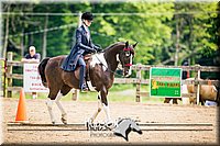 61. Saddle Seat Equitation, Jr