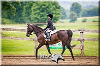 66. Beginner English Equitation