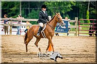 68. Hunter Seat Equitation (on the flat) - Intermediate