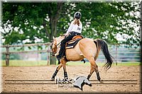 70. Novice Reining