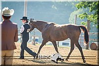 4H-2nd-071214-1059.jpg