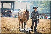 4H-2nd-071214-1074.jpg