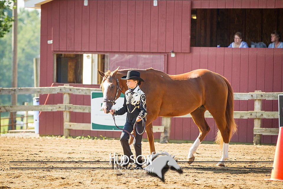 4H-2nd-071214-1124.jpg
