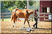 4H-2nd-071214-1121.jpg