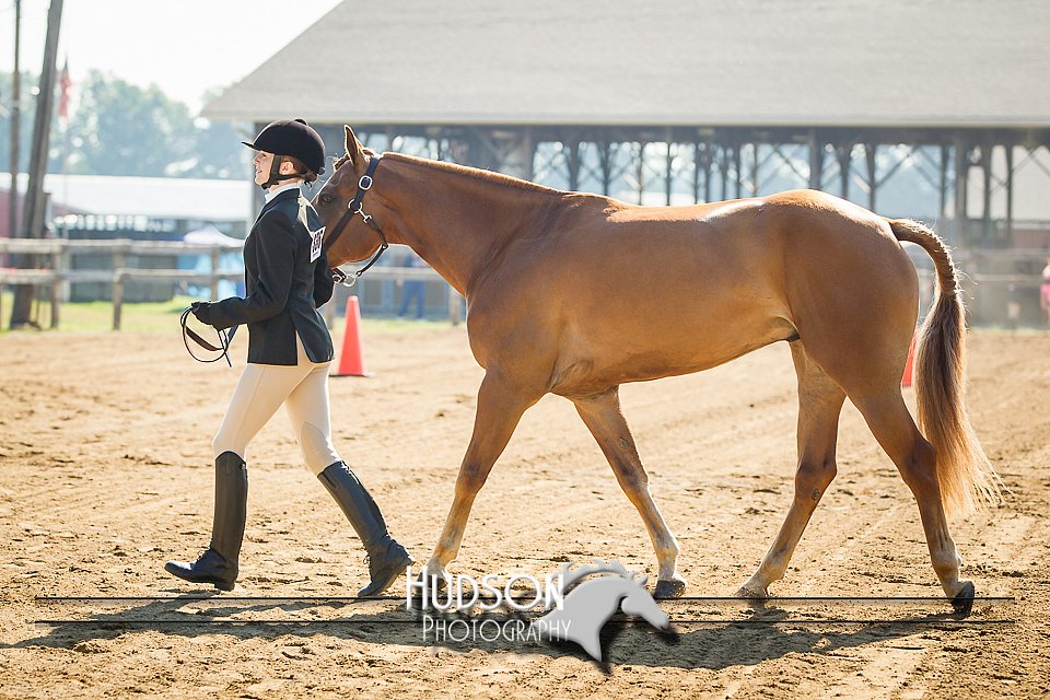 4H-2nd-071214-1184.jpg