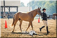 4H-2nd-071214-1177.jpg