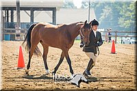 4H-2nd-071214-1189.jpg