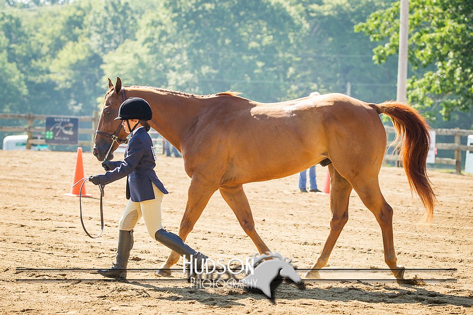 4H-2nd-071214-1260.jpg